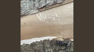 Full Bucket