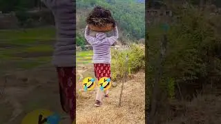 Hema 🤣 #tranding #love #lovesong #song #pahadifolkmusic #funny #nature #pahadi #villagelife #music