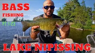 LAKE NIPISSING BASS FISHING- Using Garmin Livescope-Top water , drop shots, swim baits .
