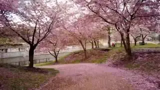 Richmond, Virgina Riverfront Early Spring 4K