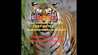 TIGERIZ- Заработок без приглашений+ бонус 10000 TRX