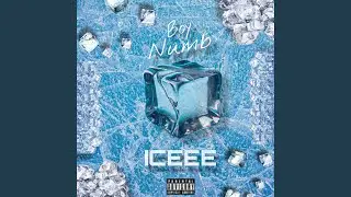 ICEEE