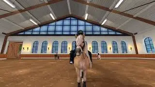 Tim Treffen mit denn Royal Horses.