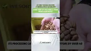 Tired of slow, inefficient hazelnut sorting?