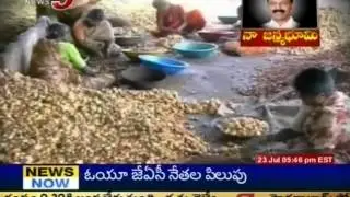 Naa Janmabhoomi - Special Focus on Raghuveera Reddy Native Place (TV5)