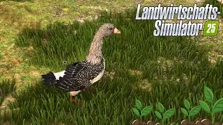 Wir füllen den Hofladen auf und füttern die Gänse - Hof Bergmann - LS 25 - #144