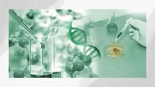 CLEP Natural Sciences Practice Test: Part 4