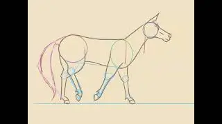 Horse line