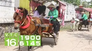 Về An Giang rong chơi bằng xe ngựa | VTC16