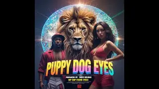 Puppy Dog Eyes - Dado Milman | 2026 Hip Hop Rap Music