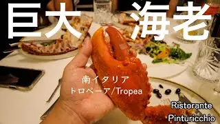 【史上最大🦞】南イタリア　カラブリア州　トロペーアの店で食べた　超巨大ロブスターがヤバかったCalabria Tropea in Italy Biggest Lobster Pinturicchio