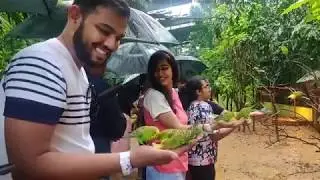 Malaysia Travel Guide ft Under Control & Mistaken