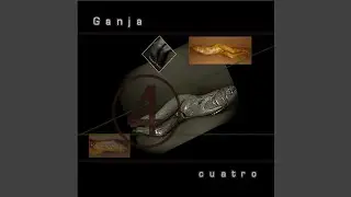 Arrecha