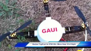 Test Gaui 330X Team Flighttech Italia