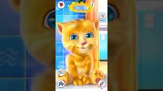 Talking Ginger&rsquo;s Epic Dance Fail! 💃🐱