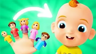 addy Finger Song | Fun Family Adventures | Finger Family - Kids Songs & Nursery Rhymes
