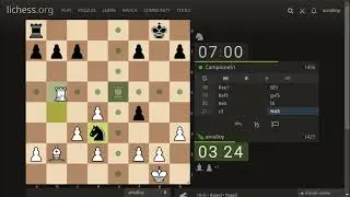 Minor piece endings (Chess)