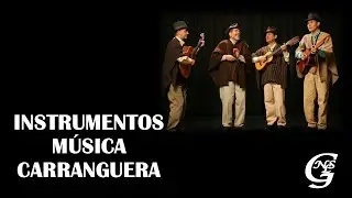 INSTRUMENTOS MÚSICA CARRANGUERA