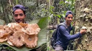 Returning to My Mushroom Hunting Spot After a Year.