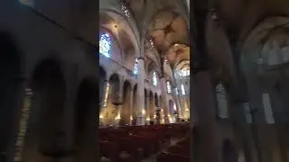 Cathedral Barcelona #travel #spain #viralvideo #youtubeshorts #youtube #video #ytshorts #vlog #blog