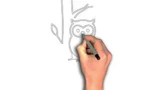 Easy to draw Owl on a tree branch drawing image