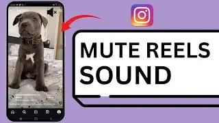 HOW TO MUTE INSTAGRAM REELS SOUND INSTEAD OF PAUSING (2025)