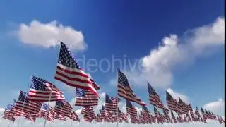 A Field Of Hundreds Of American Flags | Background Animation Video