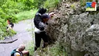 troisi&egrave;me reconnaissance UTCO 2013