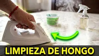 Cómo Eliminar Hongo y malos olores de un Colchón