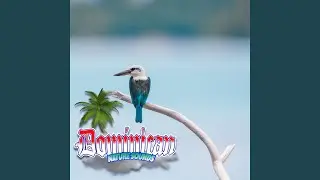Bird Sounds from the Dominican Republic