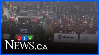 Pro Rodeo returning to Red Deer | CTV News Red Deer for Dec. 9, 2025