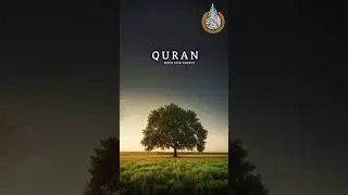 Surah Yusuf | Ayat 1&ndash;5  urdu translation #quran #quranrecitation #surahyusuf #bayan #motivational