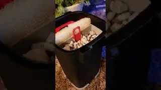 budget 20 gallon frag tank ep. 2