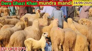 Mundra goat farm || Sabse Badi Dera Ghazi Khan Mundra Mandi | Vapaari Pareshan | Maqool Rates