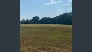 fox hunt