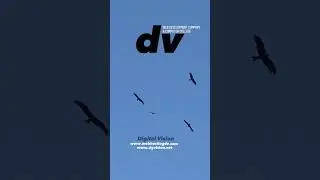 #webdevelopmentcompany #digitalvision #computercollege #dv #onlinebusiness