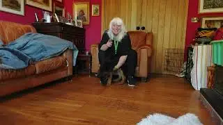 32) RECALL FOR DOGS. STAGE 1 OF 'THE WHISTLE GAME' teaching Primrose Puppy to come back #recall #pup