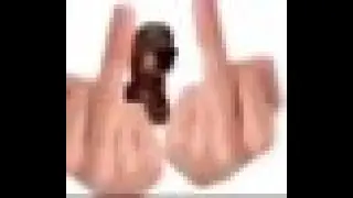 Dog middle finger I hate everything about you