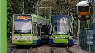 Trams at Dundonald Road