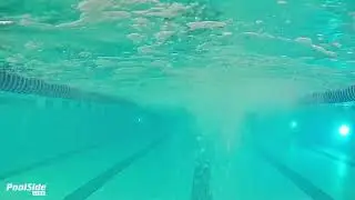 Butterfly 2x1x2 Flutter Kick Fins