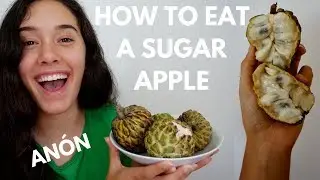 How to Eat a Sugar Apple (aka An&oacute;n/Sweetsop)
