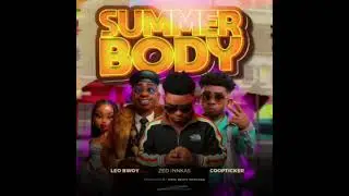 Zed innkas Ft Coopticker & Leo bwoy - Summer body (Audio Visualizer)