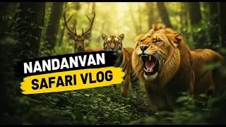 Nandanvan Safari Raipur Full Tour 🐯 | Sabhi Animals Dekhe | Budget Safari Vlog