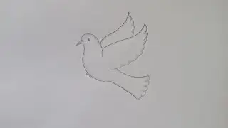 how to draw a flying dove 🕊️|easy way to draw flying Dove step by step