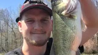 Yak Bassin