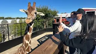Farm Pretend Play | Animals, Bubbles, Wagon Ride, Slide and Halloween Fun