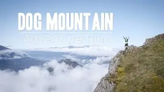 DOG MOUNTAIN | ADVENTURE RUN