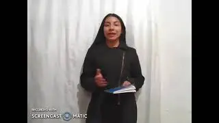 Cuesti&oacute;n prejudicial