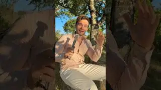 🌱 Ce secret amazonien d&eacute;fie la science !