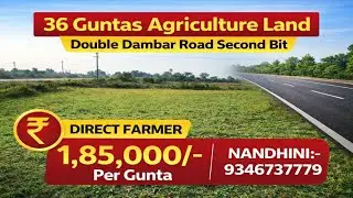Nandini:9346737779||Near gajwel||18-36 Guntas Agriculture land sale #youtube #agriculture #farming